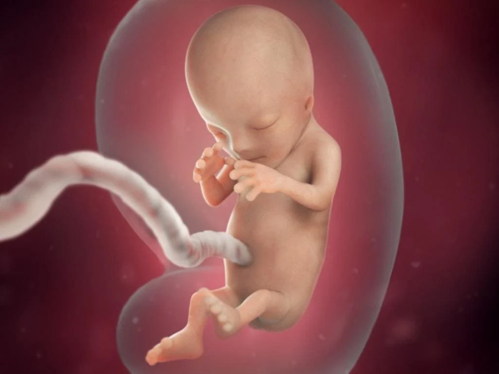 Seven-month-old fetus and necessary care