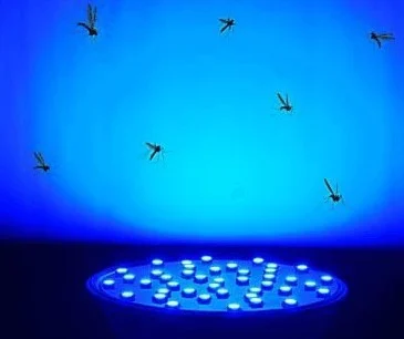 The best light to repel insects