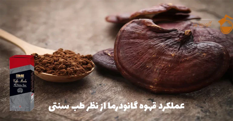 قهوه گانودرما در طب سنتی